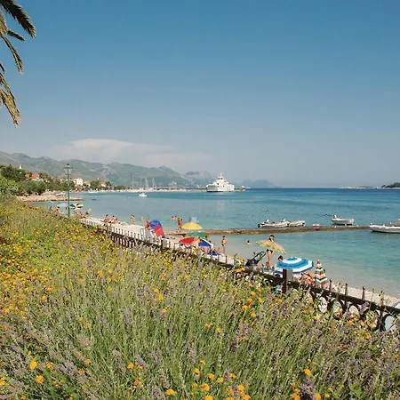 Daire Beautiful In Dingac With Wifi *